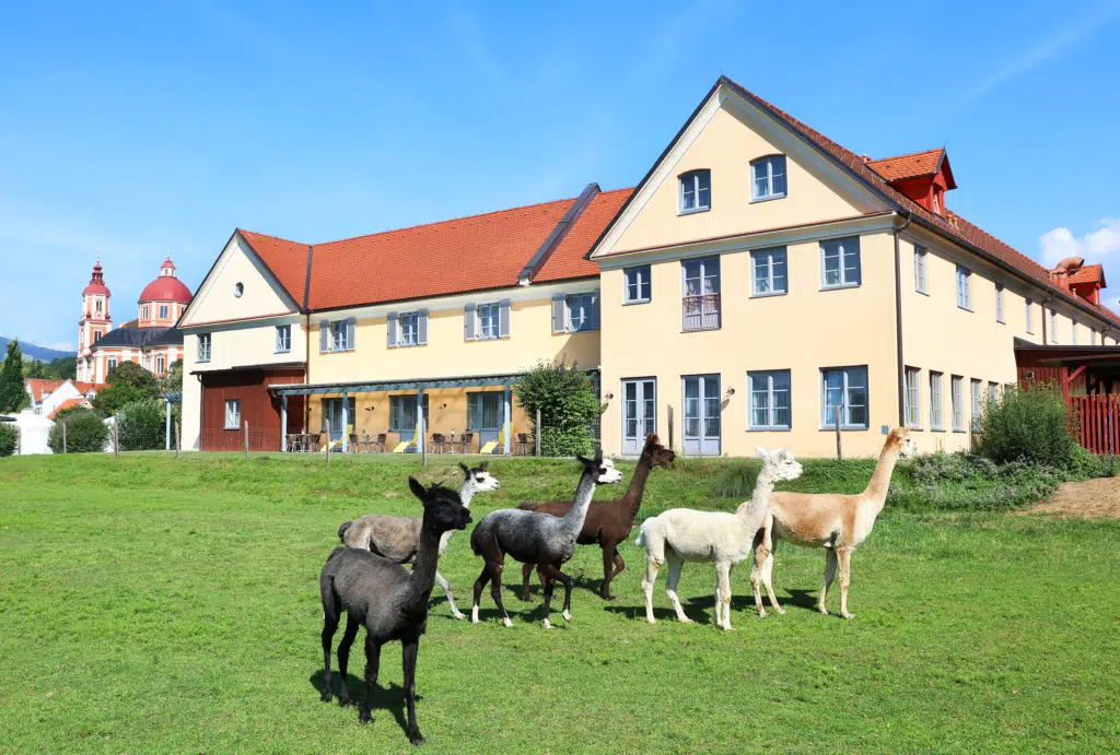 Sie sehen die Außenansicht vom JUFA Hotel pöllau - Bio-Landerlebnis. Der Ort für erholsamen Familienurlaub und einen unvergesslichen Winter- und Wanderurlaub.