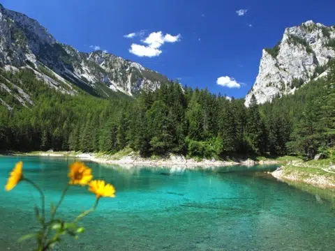 Ihr seht den Grüner See im Mariazeller Land mit Berpanorama im Sommer. JUFA Hotels bietet Ihnen den Ort für erlebnisreichen Natururlaub für die ganze Familie.