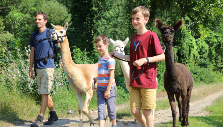 Sie sehen eine Familie beim Spazieren mit Alpakas. JUFA Hotels bietet erholsamen Familienurlaub und einen unvergesslichen Winter- und Wanderurlaub.