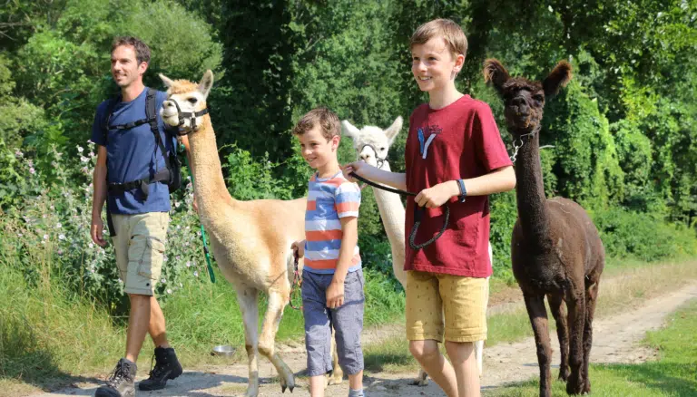 Sie sehen eine Familie beim Spazieren mit Alpakas. JUFA Hotels bietet erholsamen Familienurlaub und einen unvergesslichen Winter- und Wanderurlaub.