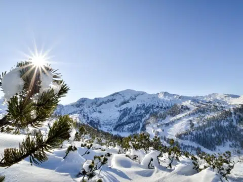 Ihr seht das winterliche Alpenpanorama in Altenmarkt.