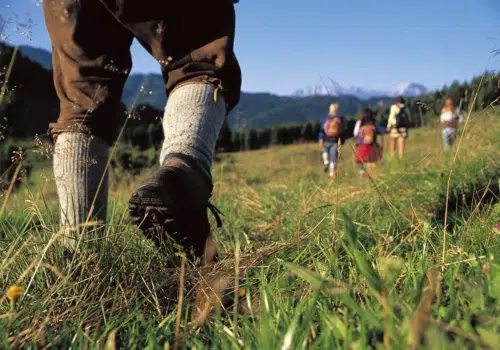Ihr seht eine Gruppe von Erwachsenen beim Wandern in Kärnten.