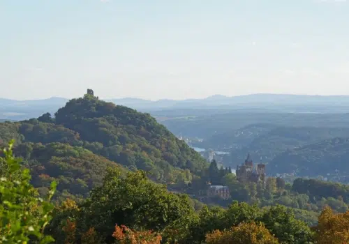 Ihr seht den Petersbergblick auf den Drachenfels. JUFA Hotels bietet Ihnen den Ort für erlebnisreichen Natururlaub für die ganze Familie.