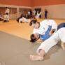 Eine grosse Judohalle finden Sie im JUFA Hotel Leibnitz - Sport-Resort