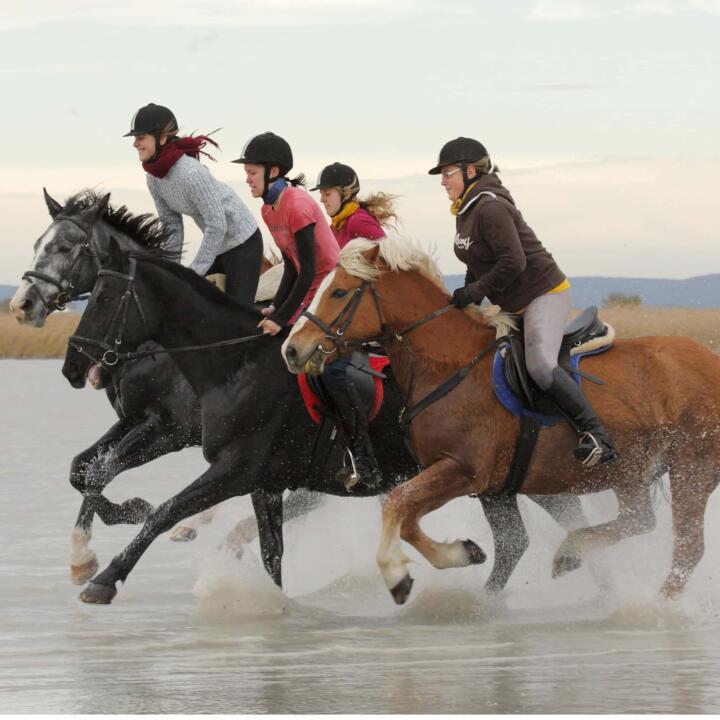 Sie sehen Reiterinnen im Galopp auf Pferden in einem Gewässer in Burgenland. JUFA Hotels bietet Ihnen den Ort für erlebnisreichen Natururlaub für die ganze Familie.