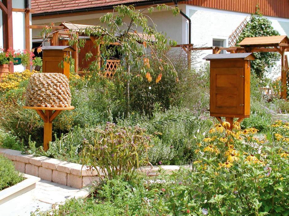 Der wunderschöne Garten vom Bienengarten Edelsbach mit Bienenstöcken im Sommer. JUFA Hotels bietet Ihnen den Ort für erlebnisreichen Natururlaub für die ganze Familie.