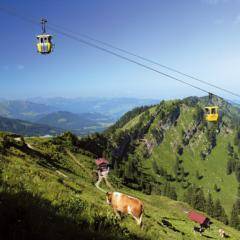 Die Oberstaufen Hochgratbahn in Wangen im Allgäu mit Bergpanorama und einer Kuh im Vordergrund. Blick auf den Oberstaufen in Wangen im Allgäu. JUFA Hotels bietet Ihnen den Ort für erlebnisreichen Natururlaub für die ganze Familie.