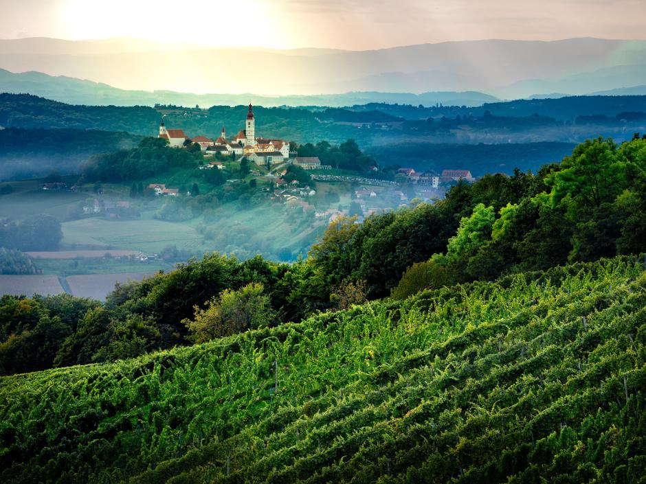 Sie sehen ein Bild von der Weinlandschaft im Thermen- und Vulkanland mit dem Himmelsberg in Straden. Der steirische Landessieger bei der TV-Sendung "9 Plätze - 9 Schätze."
