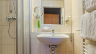 Sie sehen das Badezimmer eines Apartments im JUFA Hotel Altaussee***.