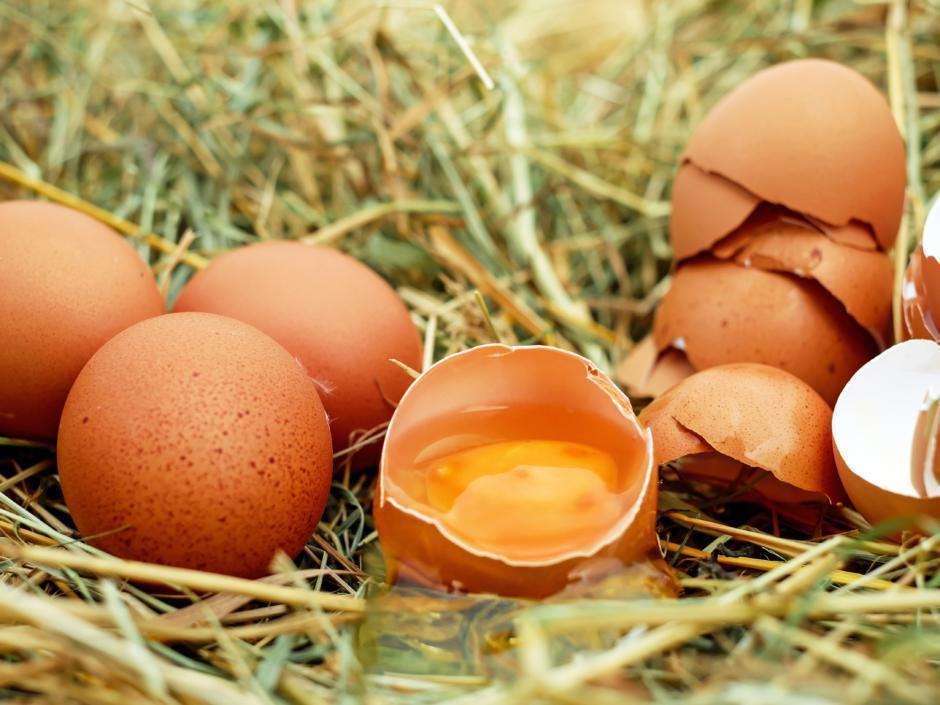 Sie sehen braune Eier im Stroh liegen. JUFA Hotels bietet kinderfreundlichen und erlebnisreichen Urlaub für die ganze Familie.