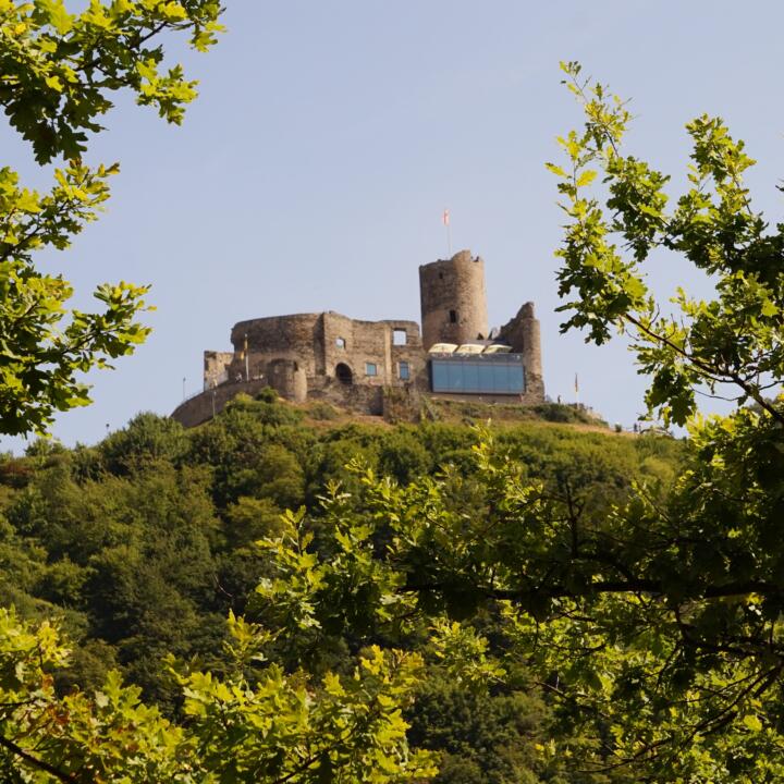 Sie sehen die Burg Landshut im Sommer.