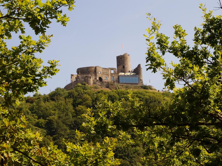 Sie sehen die Burg Landshut im Sommer.