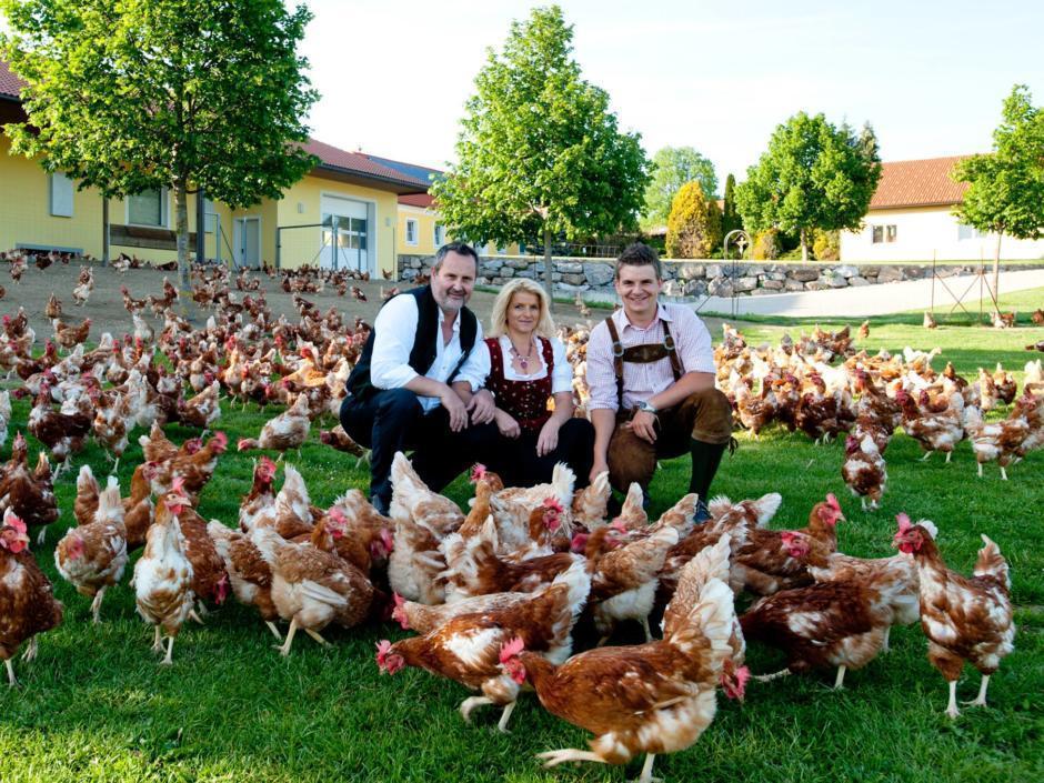 Sie sehen die Betreiberfamilie von Höllerls Freilandeier in Loipersdorf mit Hühnern. JUFA Hotels bietet kinderfreundlichen und erlebnisreichen Urlaub für die ganze Familie.