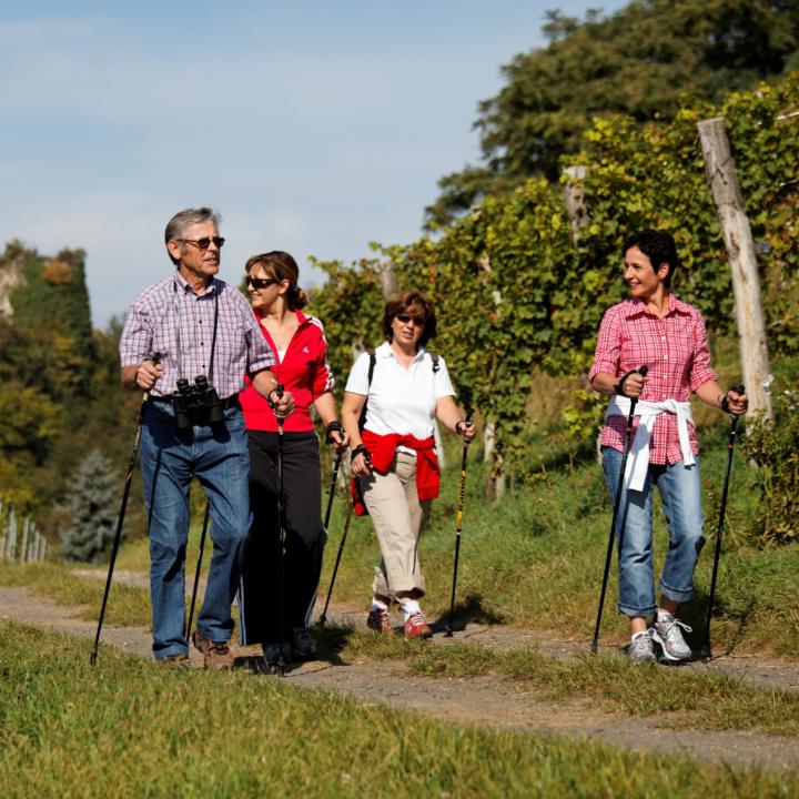Erwachsene genießen die Wanderung durch die Weingärten auf dem Klöcher Traminerweg in der Steiermark an einem wunderschönen Herbsttag. JUFA Hotels bieten erholsamen Familienurlaub und einen unvergesslichen Winter- und Wanderurlaub.