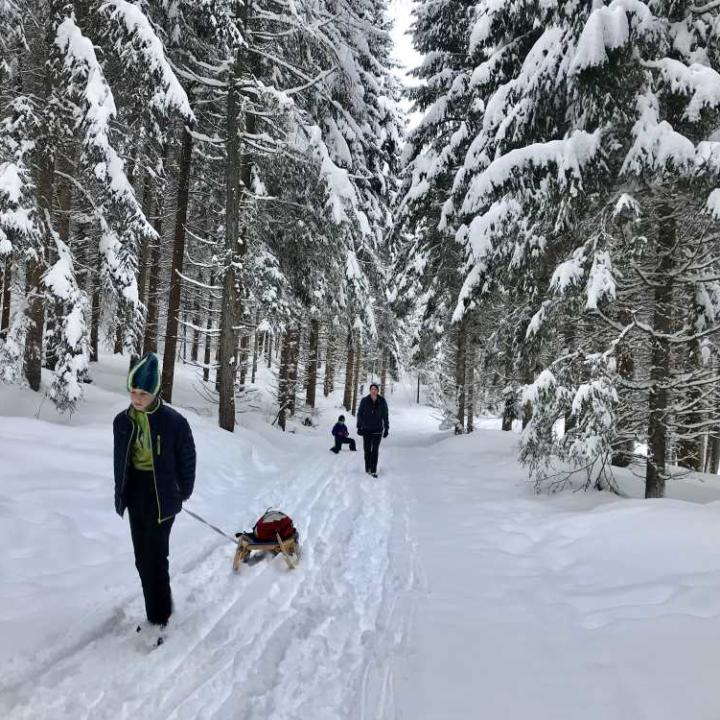 Sie sehen eine Familie beim Schlittenfahren am Weissensee in Kärnten im Winter. JUFA Hotels bietet erholsamen Familienurlaub und einen unvergesslichen Winterurlaub.