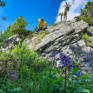 Sie sehen Peter aus der bekannten Kinder Zeichentrickserie"Heidi" als Figur auf einem Felsvorsprung neben einer Ziegenfigur, die nach ihm tritt. JUFA Hotels bietet erholsamen Ski- und Wanderurlaub für Familien in Kärnten.