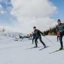 Sie sehen mehrere Personen beim Langlaufen in einer traumhaften Winterlandschaft im Schilcherland.
