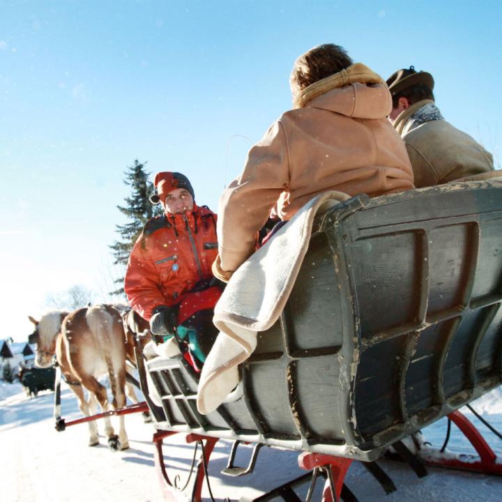 Erwachsene genießen eine Pferdeschlittenfahrt in Annaberg durch die wunderschöne Winterlandschaft. JUFA Hotels bietet erholsamen Familienurlaub und einen unvergesslichen Winterurlaub.