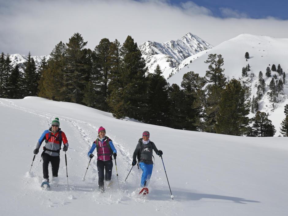 Sie sehen Schneeschuhwanderer in einem Schneefeld im Murtaler Gebirge gehen. JUFA Hotels bietet erholsamen Familienurlaub und einen unvergesslichen Winterurlaub.