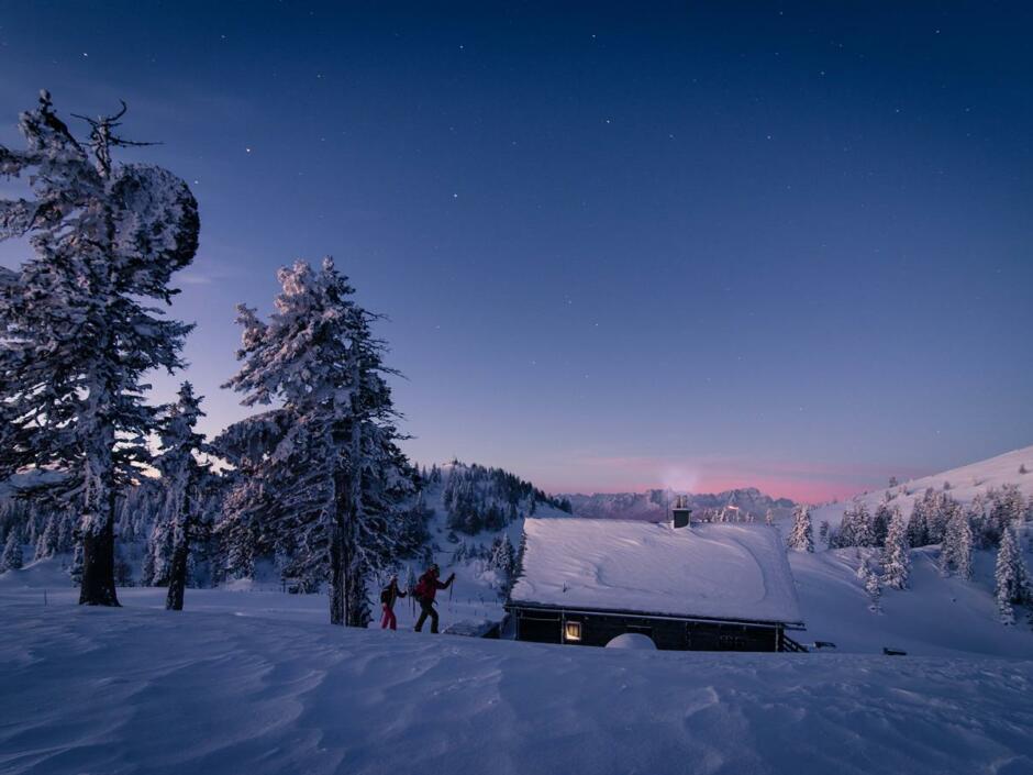 Sie sehen ein Bild vom Schneeschuhwandern im Mondschein im Naturpark Dobratsch in Kärnten.