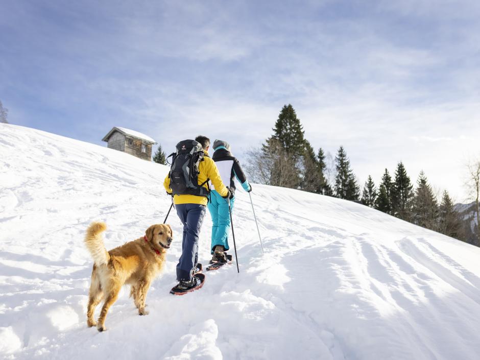 Sie sehen ein Paar mit Hund, das mit Schneeschuhen auf einen Berg wandert.Das JUFA Hotel Laterns - Klangholzhus ist der perfekte Ort für einen abwechslungsreichen Winterurlaub für die ganze Familie mit erholsamen Urlaubstagen.