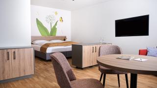 Sie sehen eine Suite im neuen JUFA Hotel Bad Radkersburg mit komfortablen Boxspringbett, Sideboard, TV und Sitzgelegenheiten.